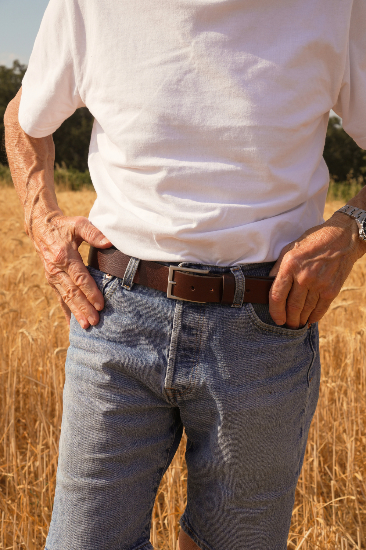 Ceinture Roger – cuir marron foncé homme, boucle classique argentée