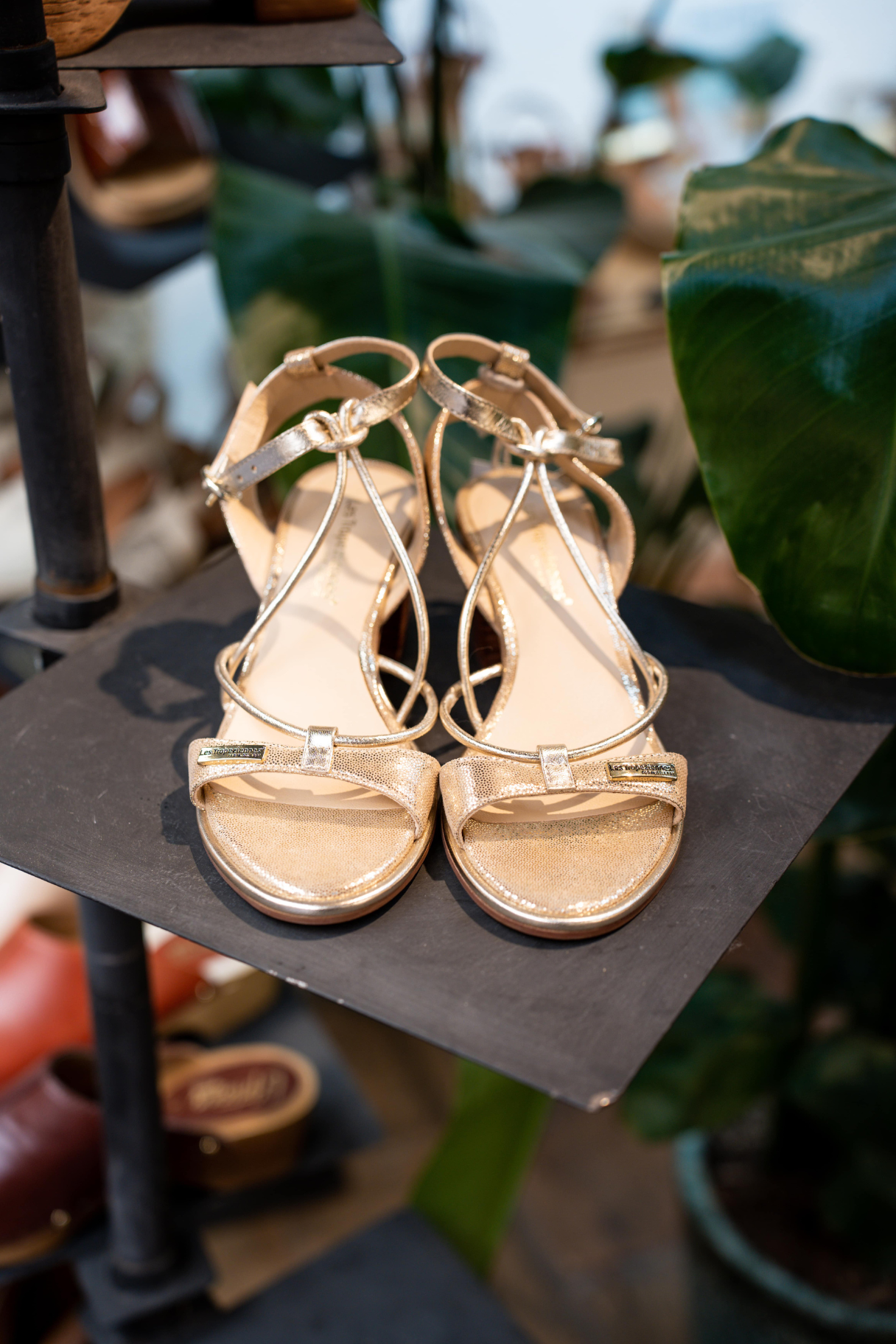 Les Tropéziennes - Lilon beige irisée : Sandales élégantes et tendance pour l'été - Nappa Maroquinerie